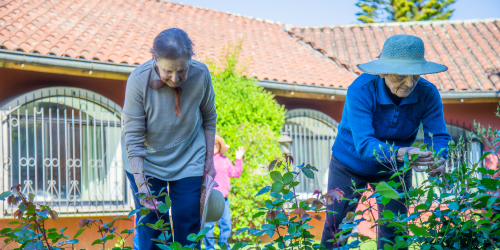 beneficios—jardines-y-areas-verdes